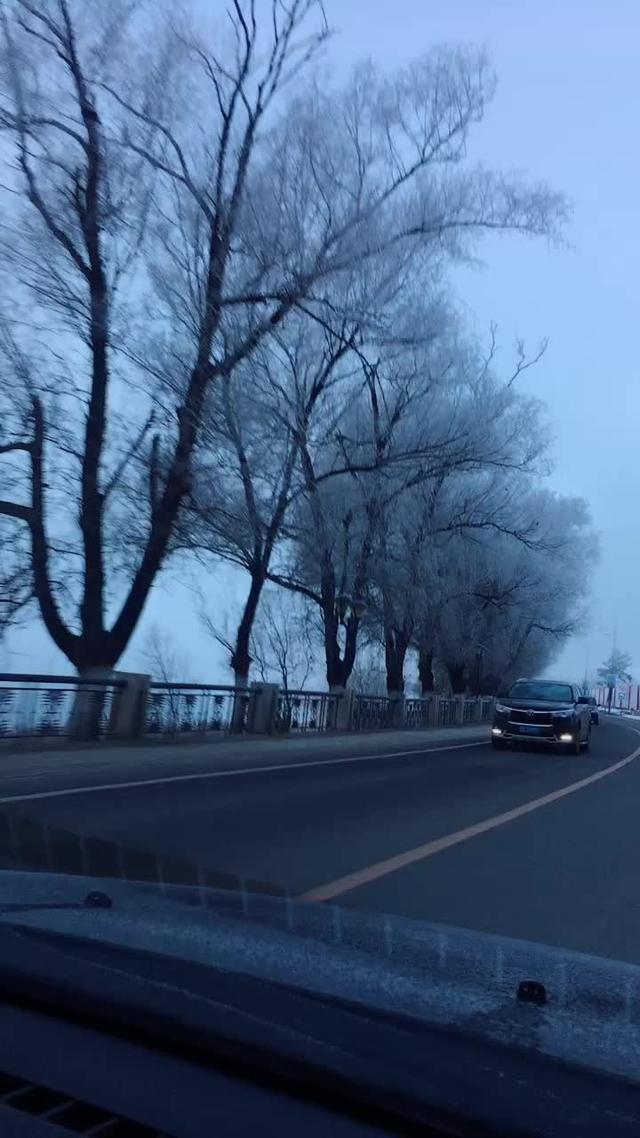 汉兰达 雾凇美景