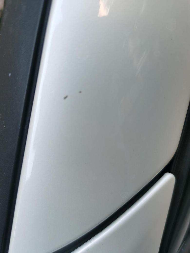 宝马1系 经常上高速！自己开车极其注意！今天细看发现车漆上很多小伤小孔！车友们都怎么解决的呢