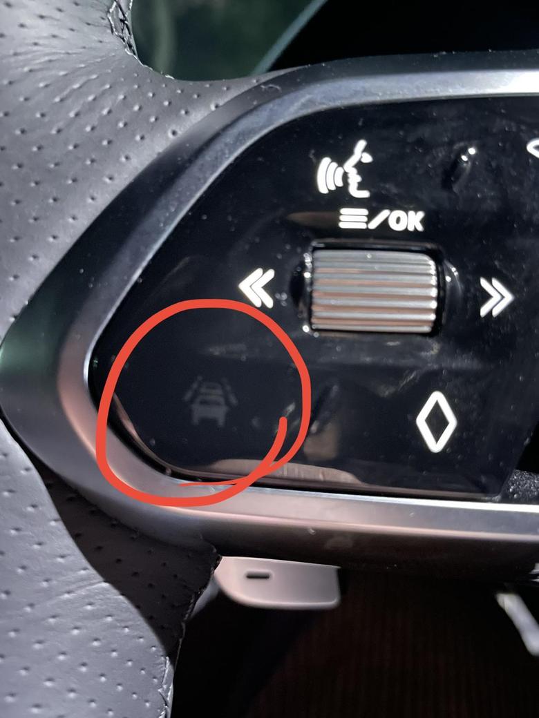 捷豹xel 今天发现方向盘上有个新LOGO，有车友点亮了吗？这是个啥功能