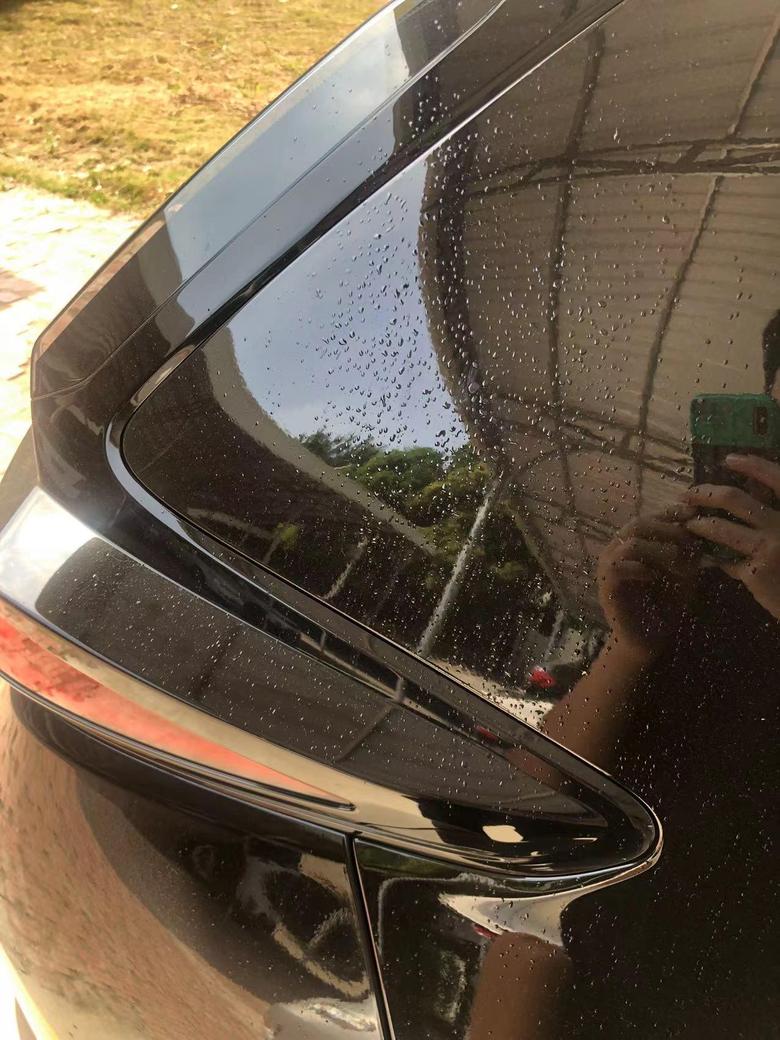 皓影 车友们你们外车漆起胶质一样的小泡吗，怎么处理。。。