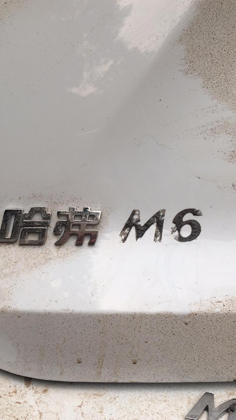 哈弗m6 各位车主你们好丶请问车后面车标这些英文字母可以拆吗？