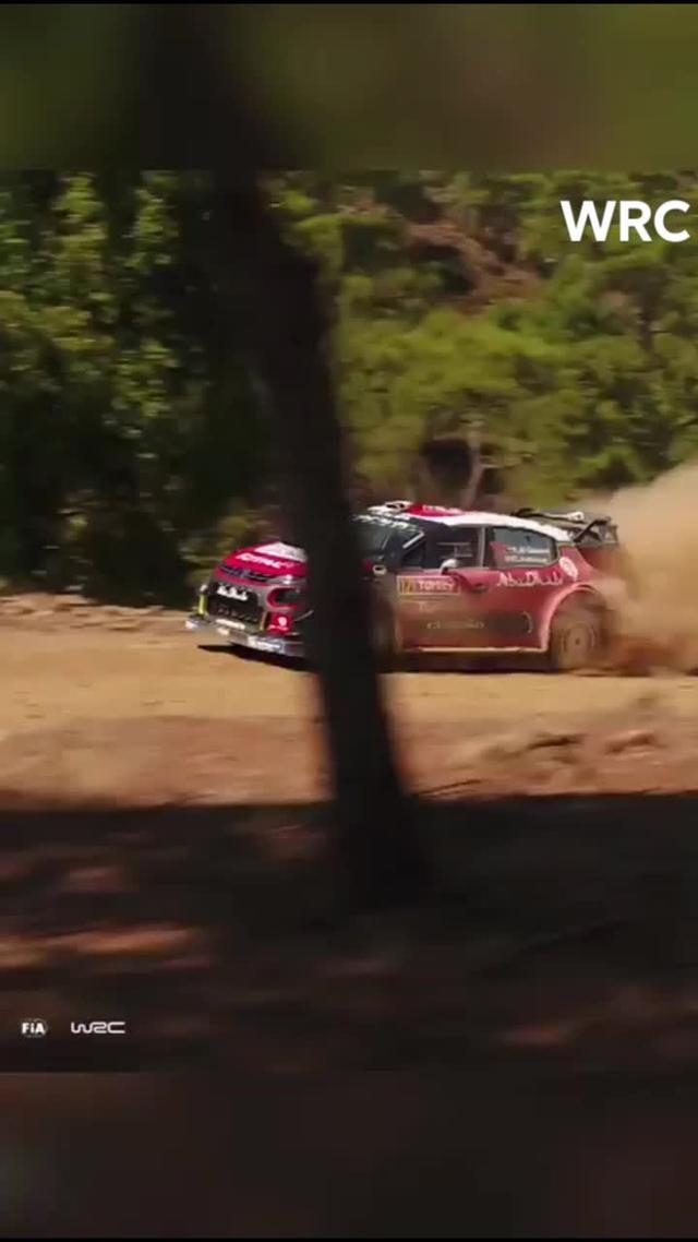 福克斯 这是WRC
