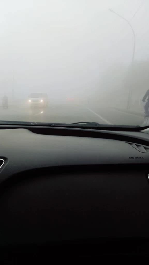 福克斯 今天雾霾好大，开车的友友们！注意安全