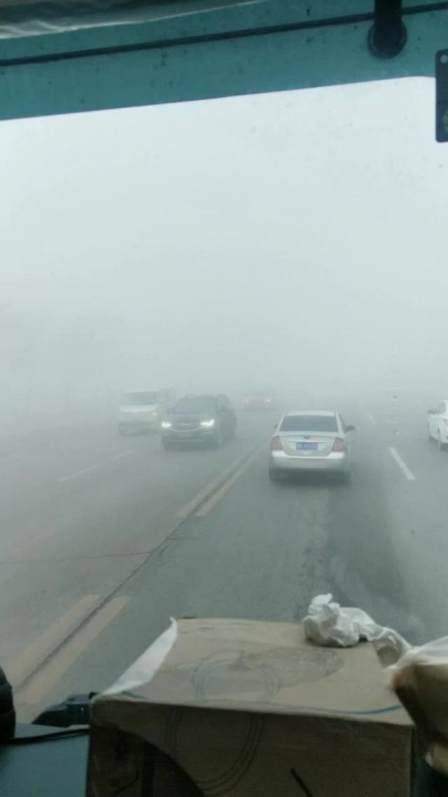福克斯 雾真大
