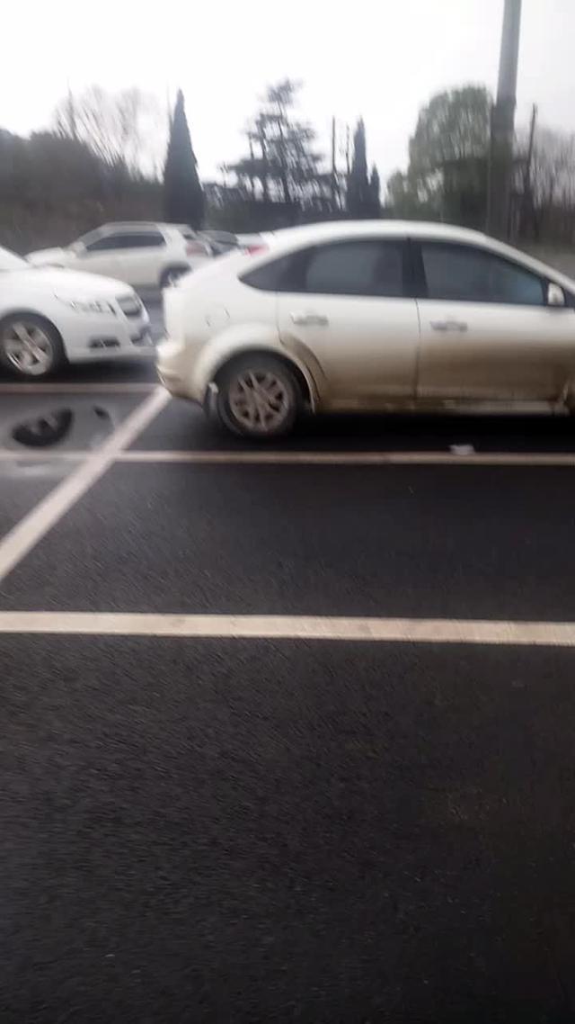 福克斯 下了一个月雨的车！