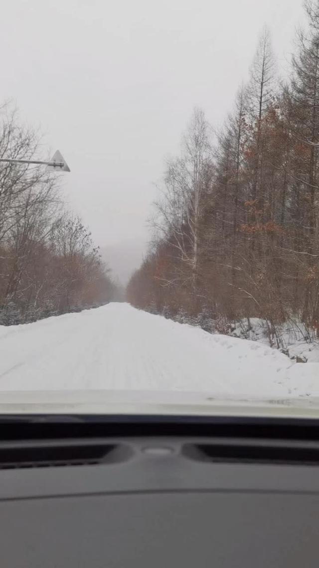 奇骏 下雪天路滑，请不要减速踩刹车，这样会影像速度的