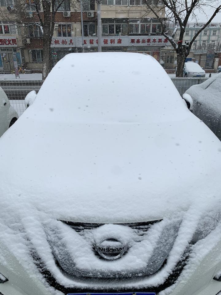 奇骏 这两天天津下了一场大雪，提车快半年了，总体来说很满意，至于一直再说得冷保护，我是从来没遇上过，最冷的时候零下10度左右。