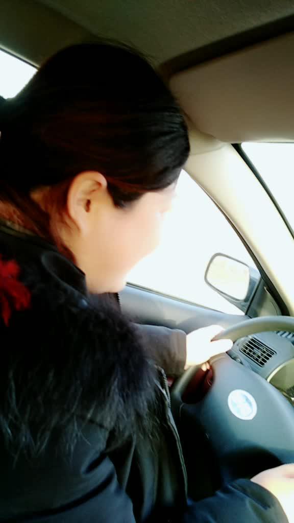 比亚迪f3 教媳妇开车