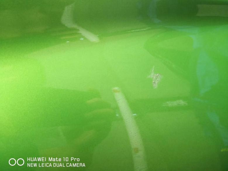 宝马m4 #尹哲实验室#M4后叶剐蹭，撕掉车衣车漆完好无损！