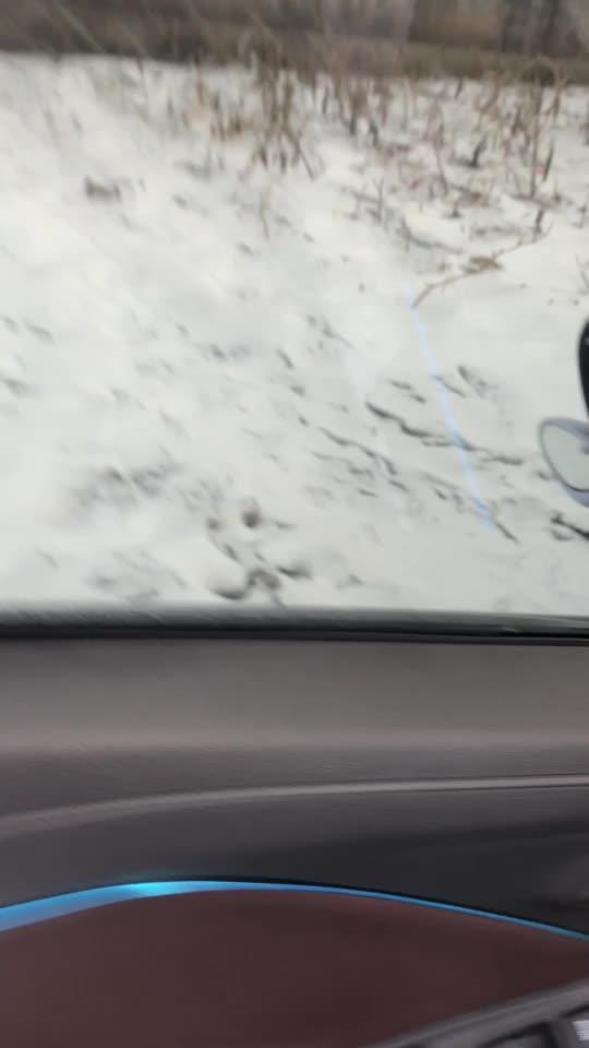 长安cs15 冬季汽车玻璃容易挂霜要及时清理影响行车视线