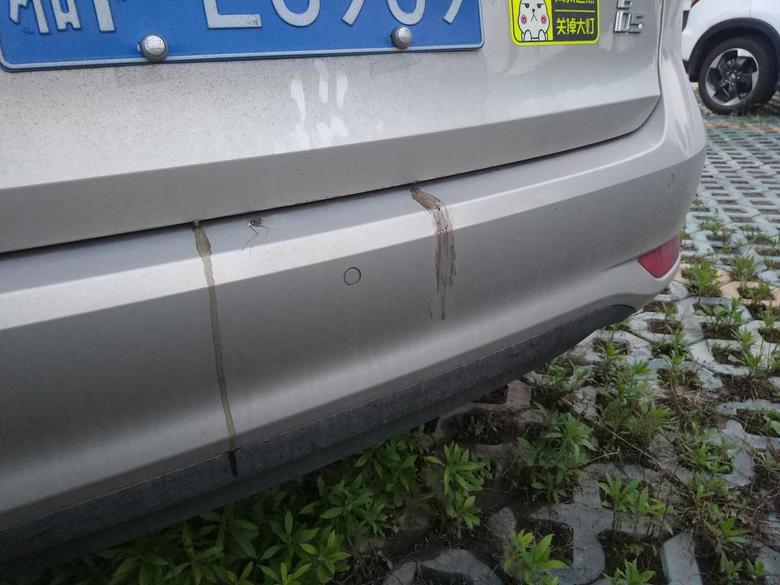荣威i5 2019.05.05提的车。你们车后备箱盖有没有出现滴油情况？