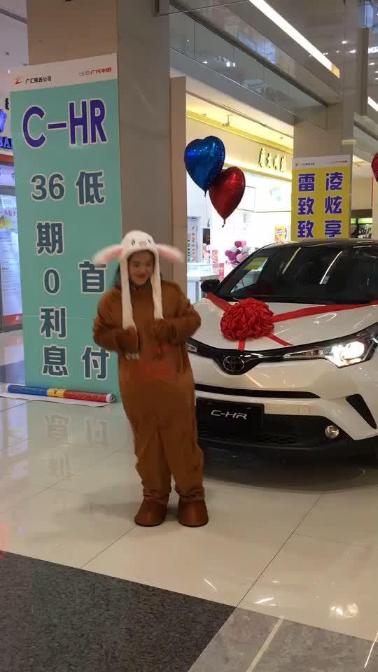 丰田c hr #4S店那些事哈哈！没有办法这就是集宁广汽丰田一只穿着熊衣的兔子，啦啦啦啦……