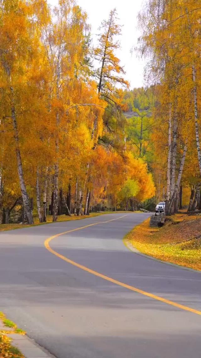途达 自驾游新疆，深秋真的好美！