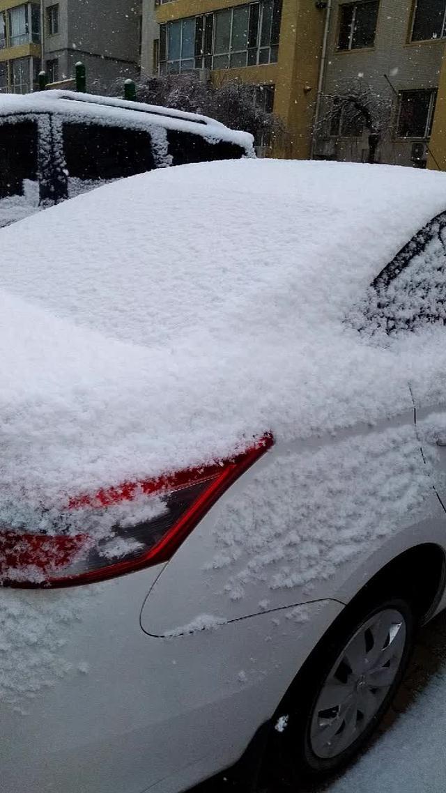 威驰车上覆盖了一层白雪