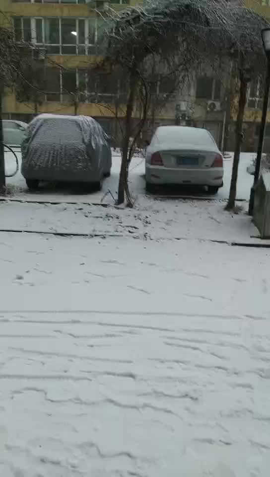 威驰下雪天，车辆穿上车衣