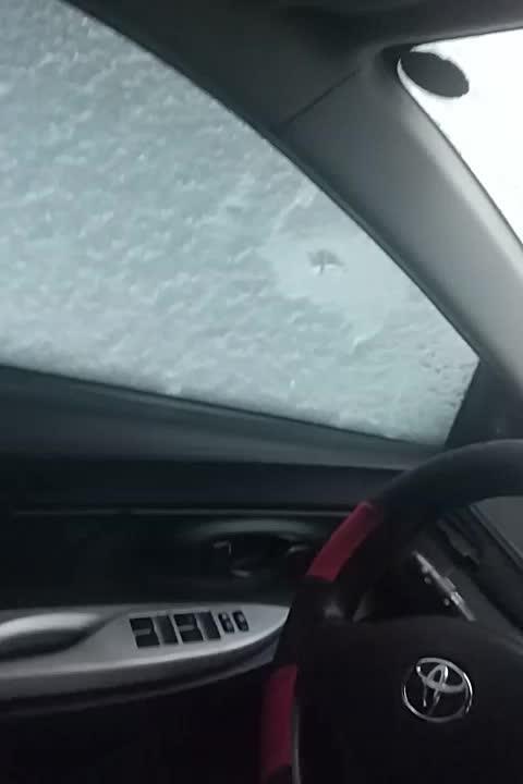 威驰车窗上全是雪啊
