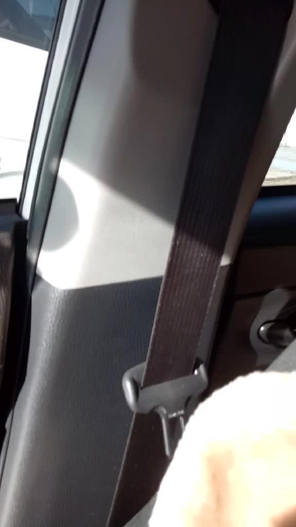 威驰车副驾驶座位安全带！的正确使用方法！
