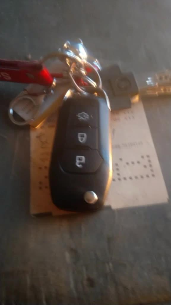 福睿斯猜猜这是什么车钥匙