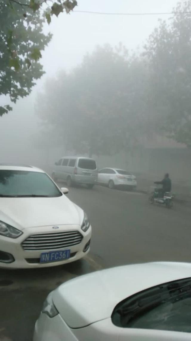 福睿斯今天早上的雾好大呀！所有的亲人们，路上要注意安全。