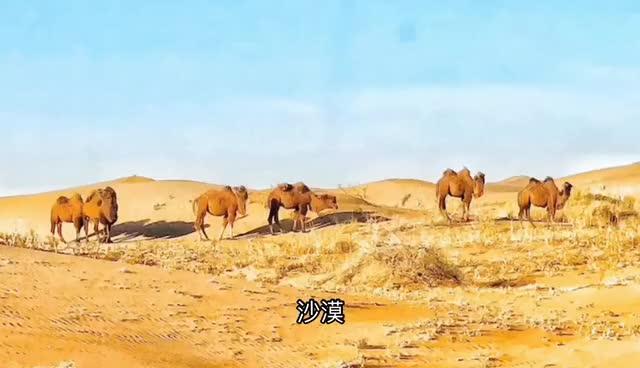 牧马人说走就走的腾格里沙漠穿越（2）