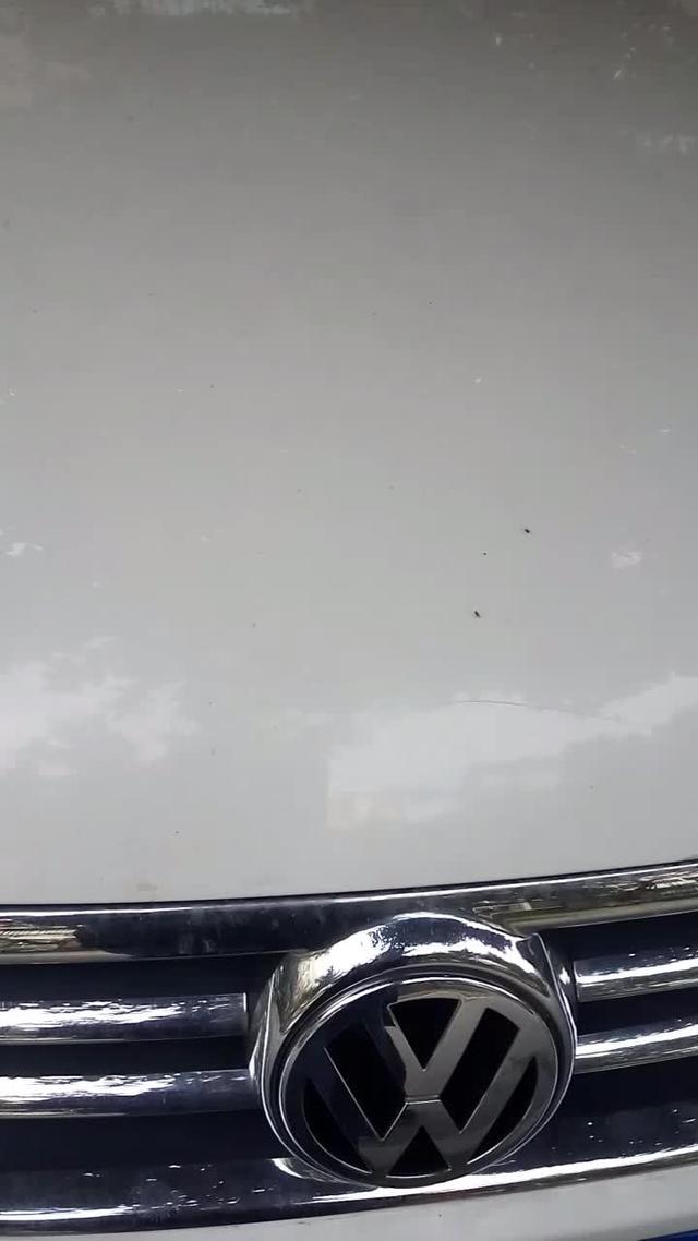 polo自己家的车拍一个小视频上传供大家欣赏