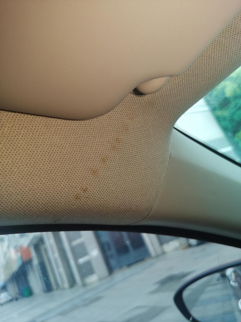 菲斯塔提车一年半，车内顶棚多处出现大片的黄色斑点，看起来像是生锈的锈点，有人出现这种情况吗？什么原因造成的？