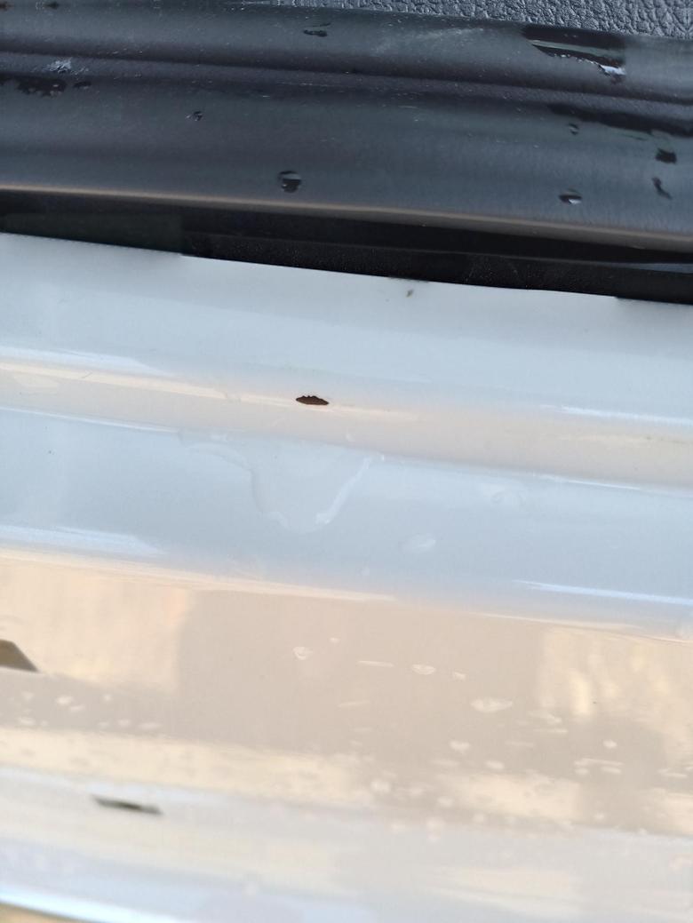星途凌云我的车两三天就发现掉了漆了，车友们你们的车有这种情况嘛！