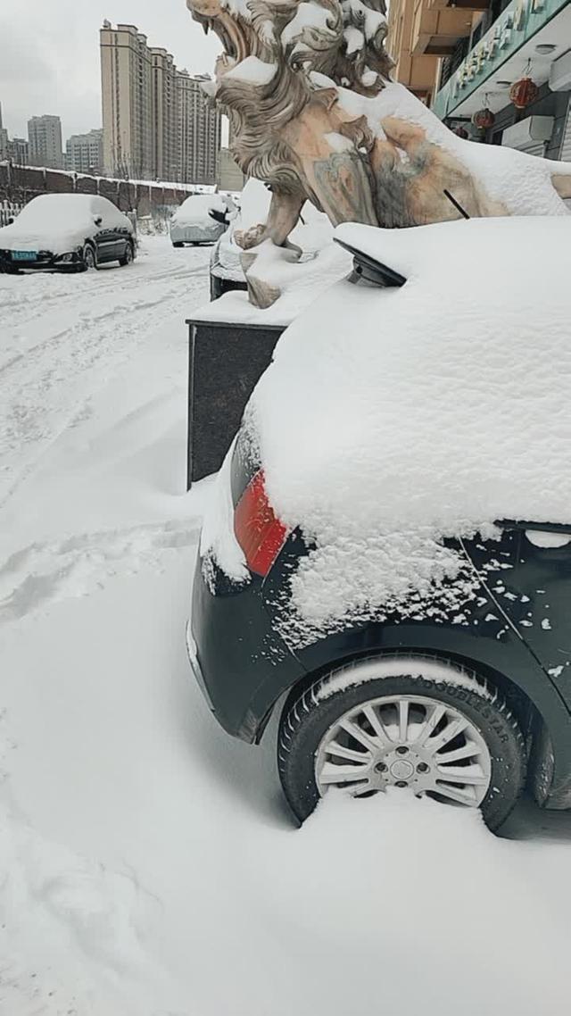 长安cs75 昨天这场雪几年最大一次了，非常好这才是哈尔滨，我的车衣也派上用场了