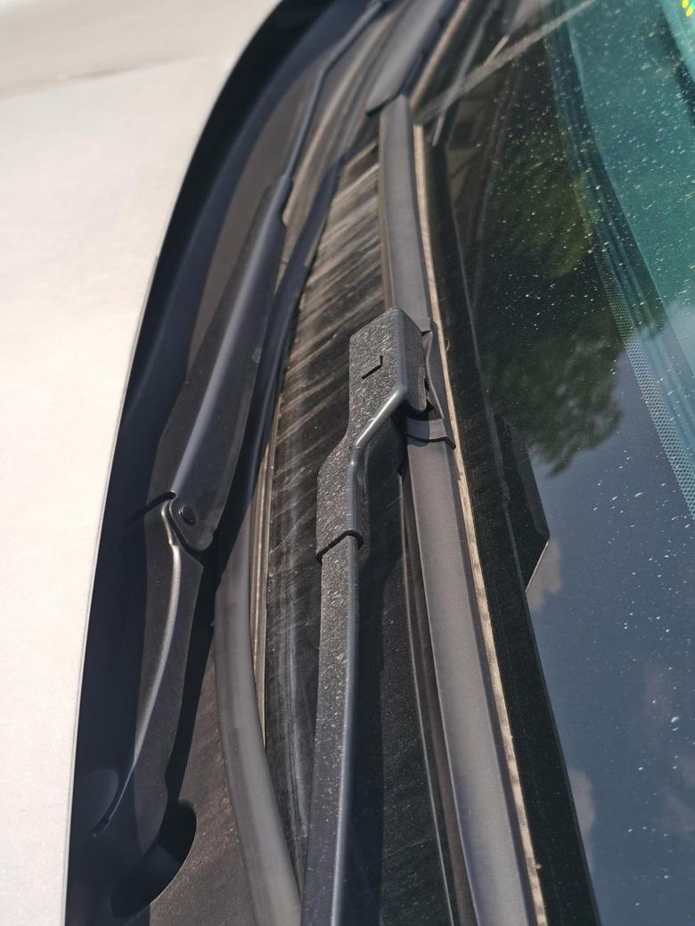 宋pro车友们，你们车子前挡风玻璃下面的胶条是固定的，还是松动的。有没有必要去处理