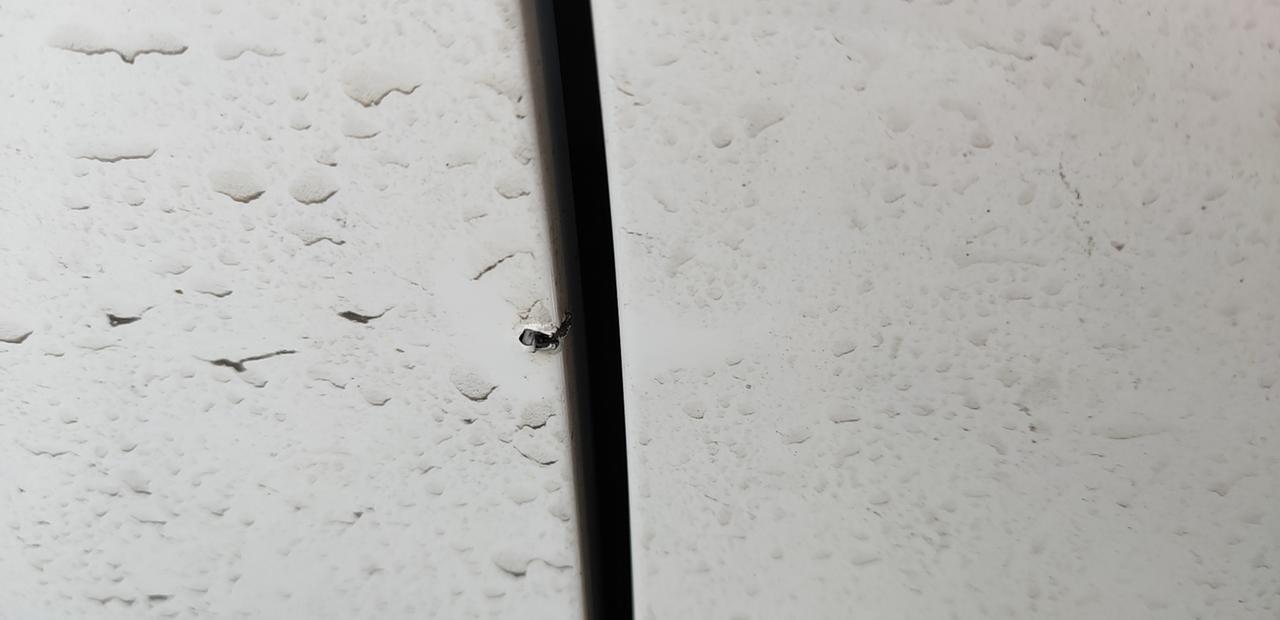10月份到手的小蚂蚁，续航什么都都没发现什么大问题，最近发现小蚂蚁车身也太单薄了吧，开关车门、和别的车随随便便碰一下就掉漆，用点力就一个洞，想知道就我的车是这样吗??