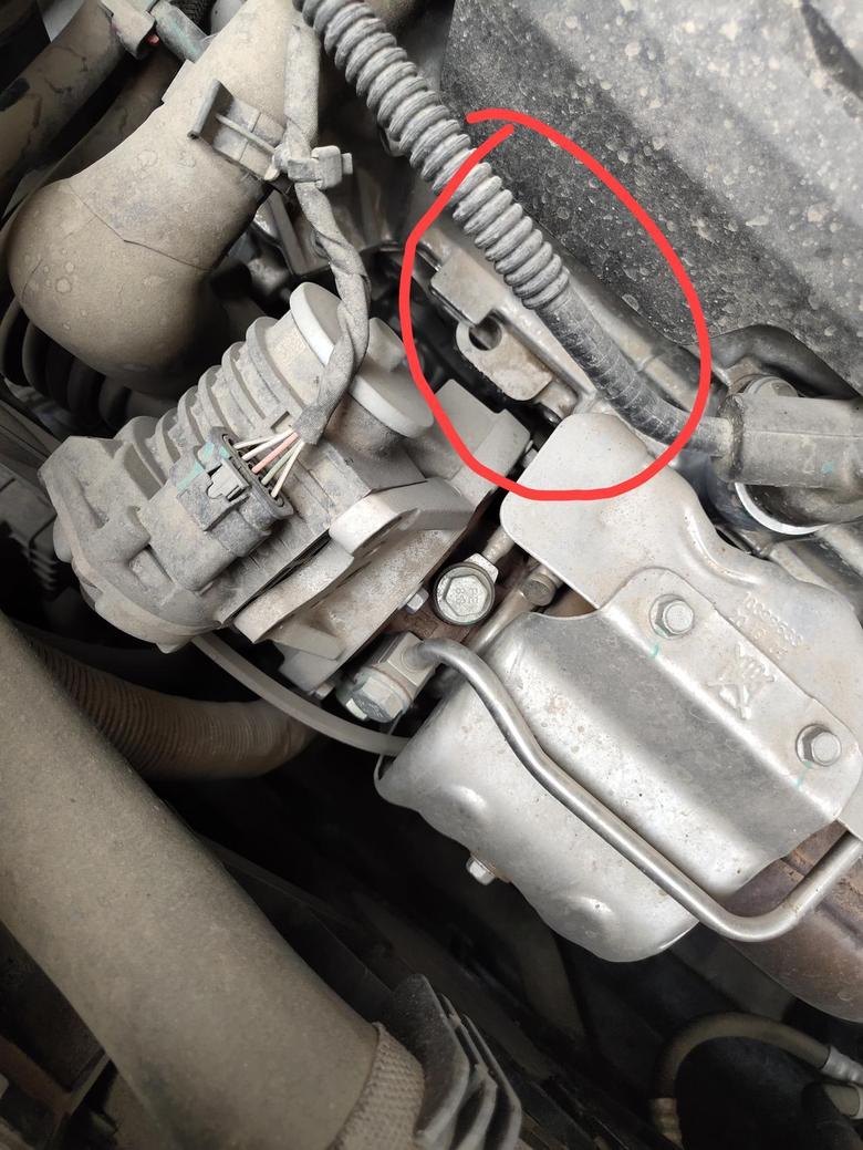 荣威rx5 max马上两年了，发现缸盖这有渗油现象，你的车有这种情况吗？