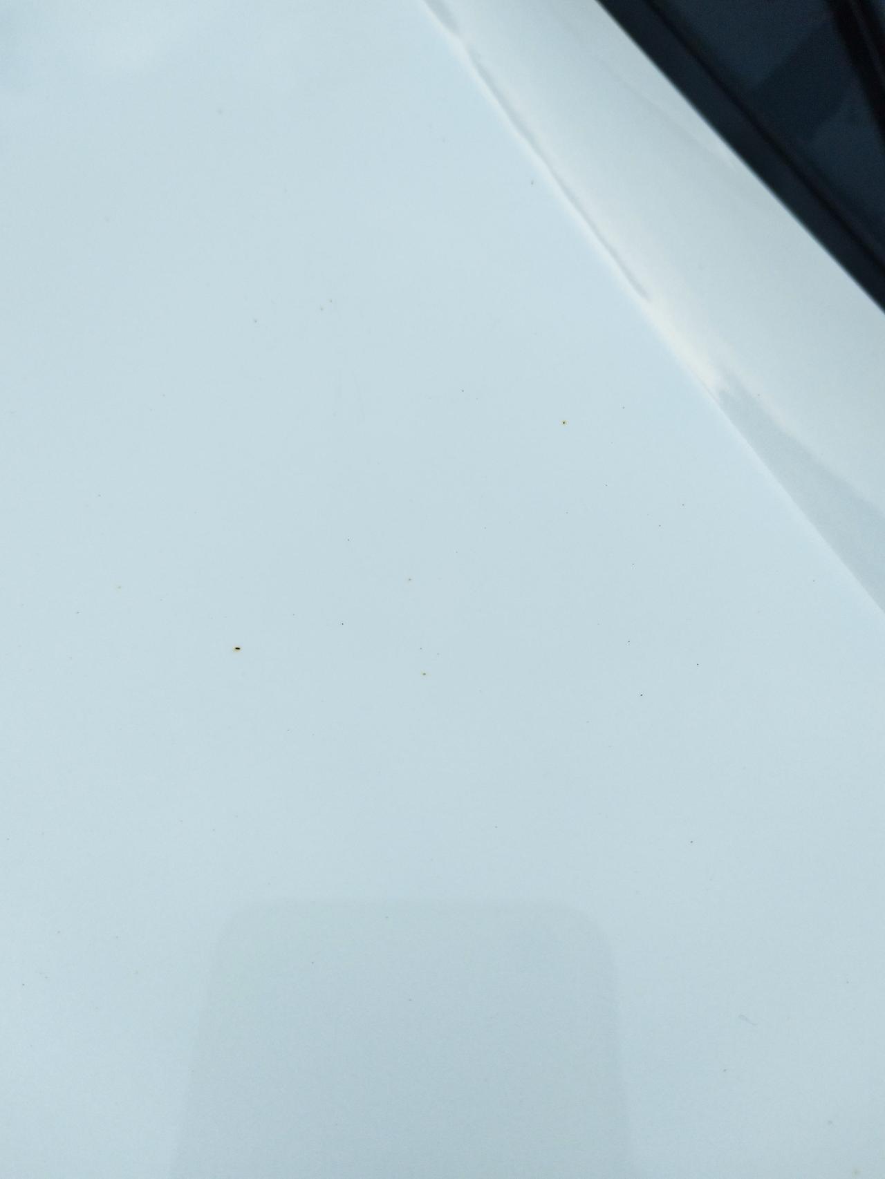 哈弗f7白车洗不干净。洗了后车身上有好多黑点点洗不掉