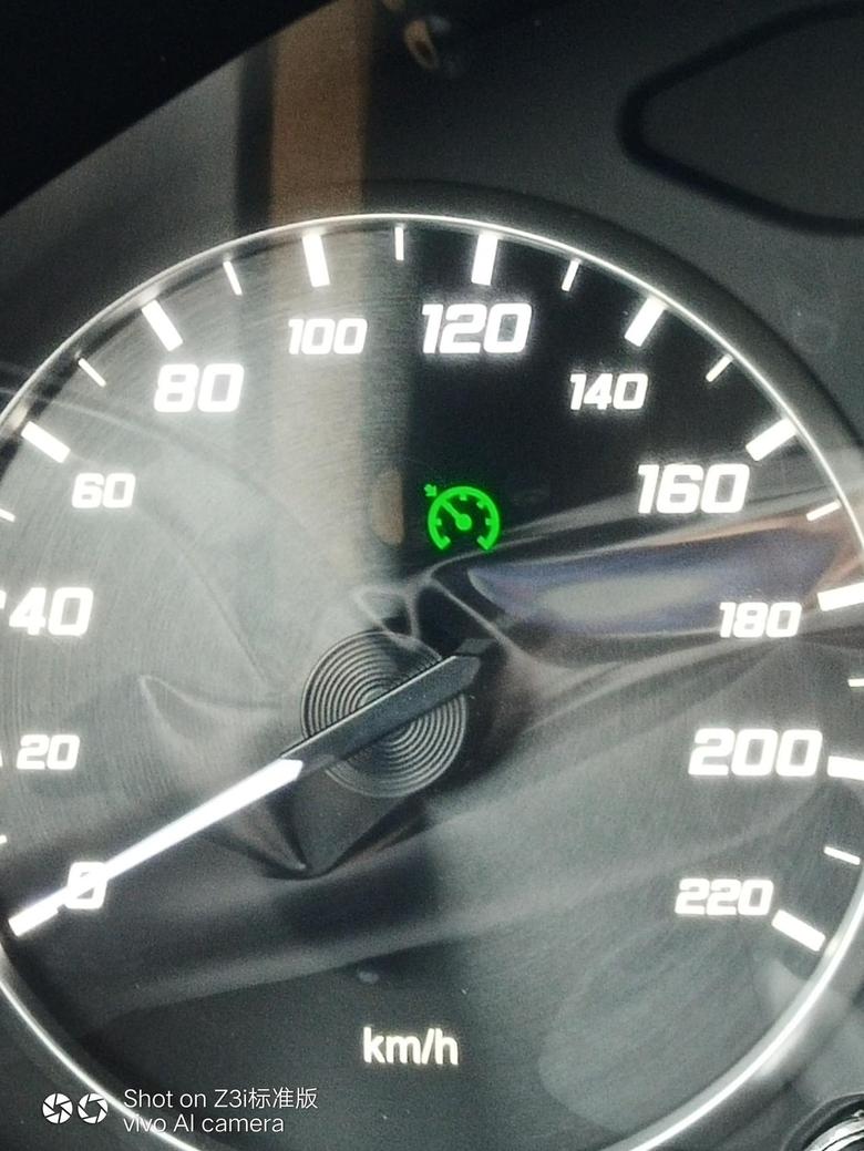 瑞虎5x请教各位老司机，仪表盘上这个绿色的指示灯是什么