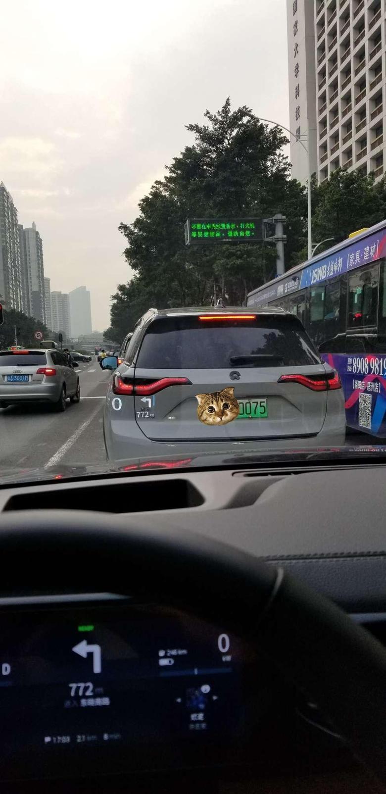 蔚来es8广州貌似很多车友选这个颜色啊，昨天路上看到三台了。熏黑尾灯好评！