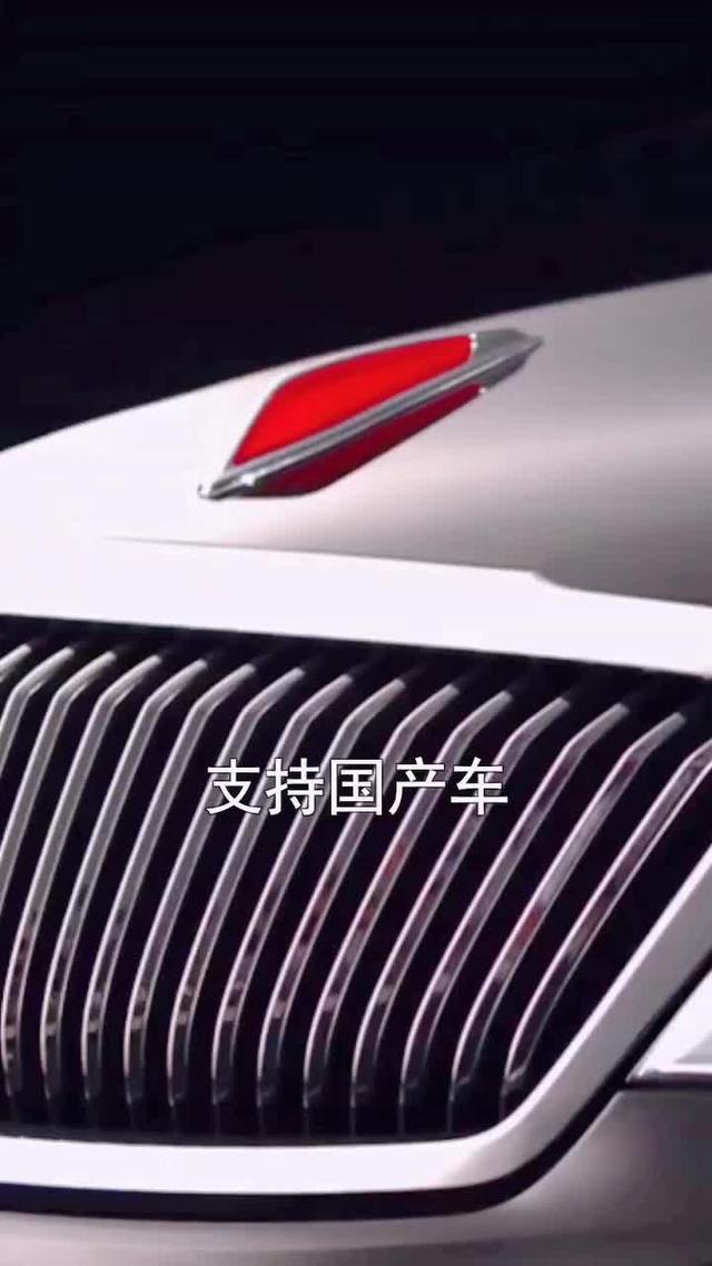 红旗h7最奢华的国产豪华车品牌，光一台车就能卖到500万！