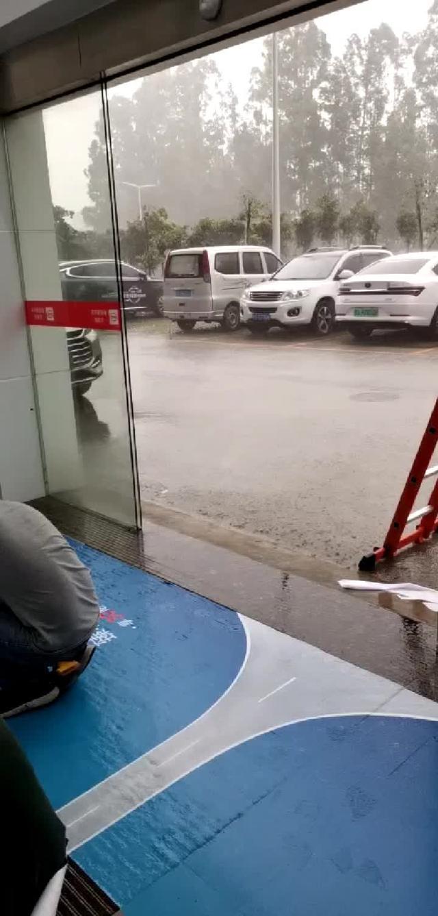 秦pro感觉东莞市雨是半月下的。