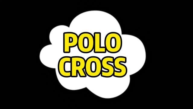 polo(海外)每日一车：跨界版POLO收回来了