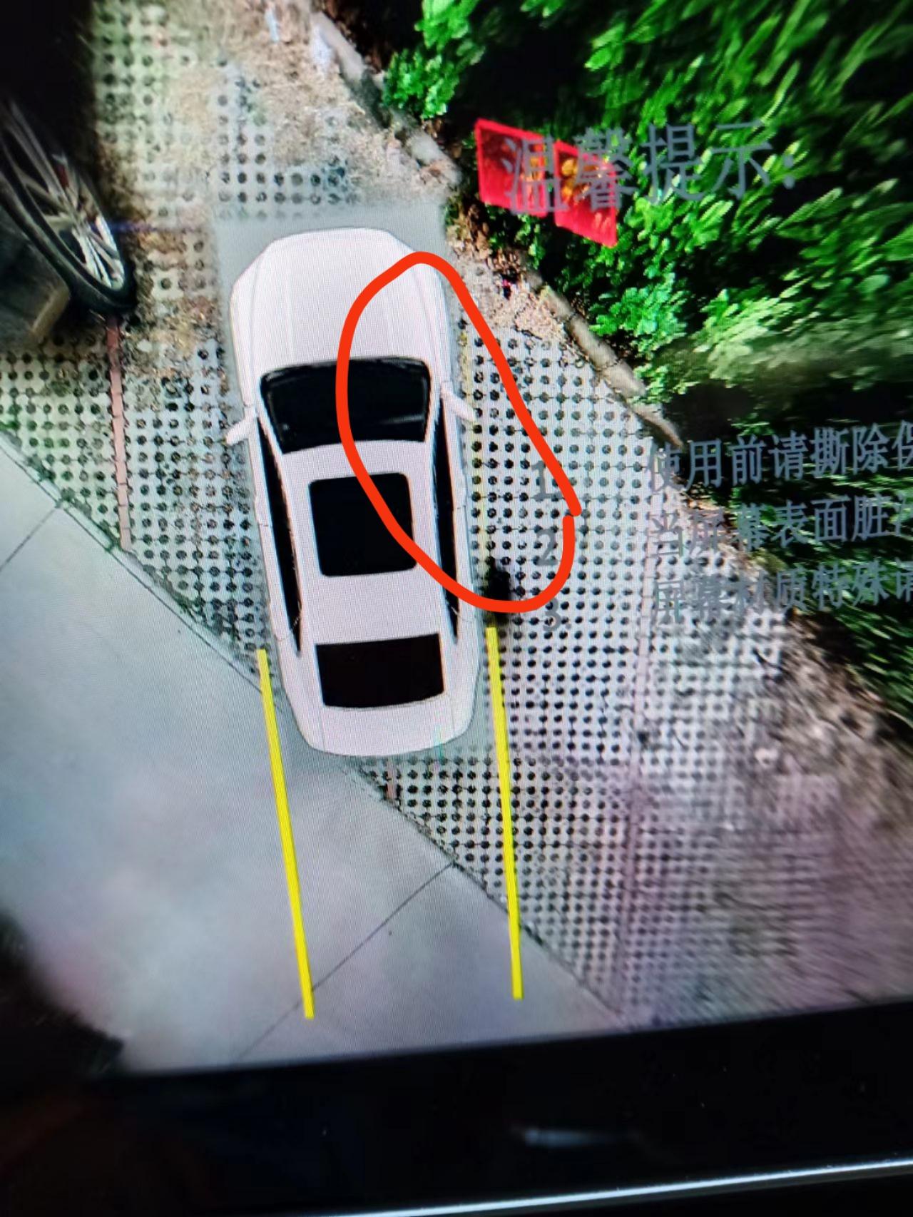 吉利星瑞 雷达上哪个黑色的是什么 我倒车前进怠速 右边黄色的线不显示是怎么回事 不应该是两条线吗？ 请问