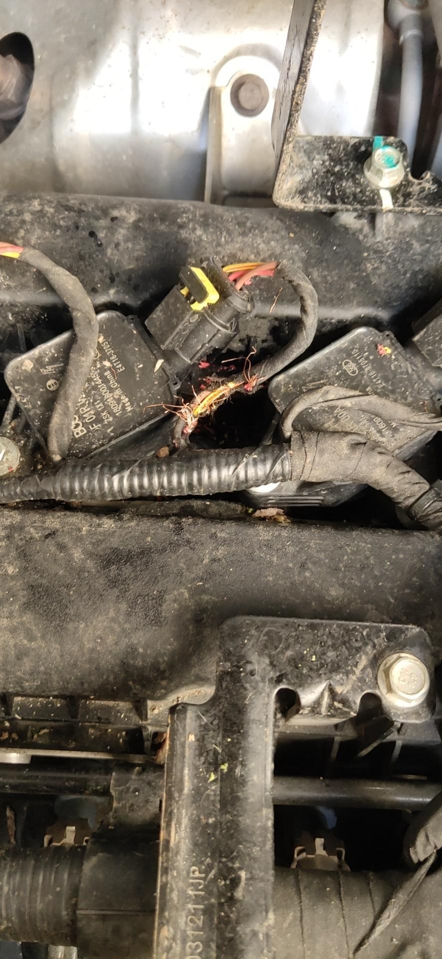 瑞虎8发动机缸线被老鼠咬断了，四儿子报价一千多，被坑了多少啊！车现在在四儿子店里，能拉出来去修理厂修吗？