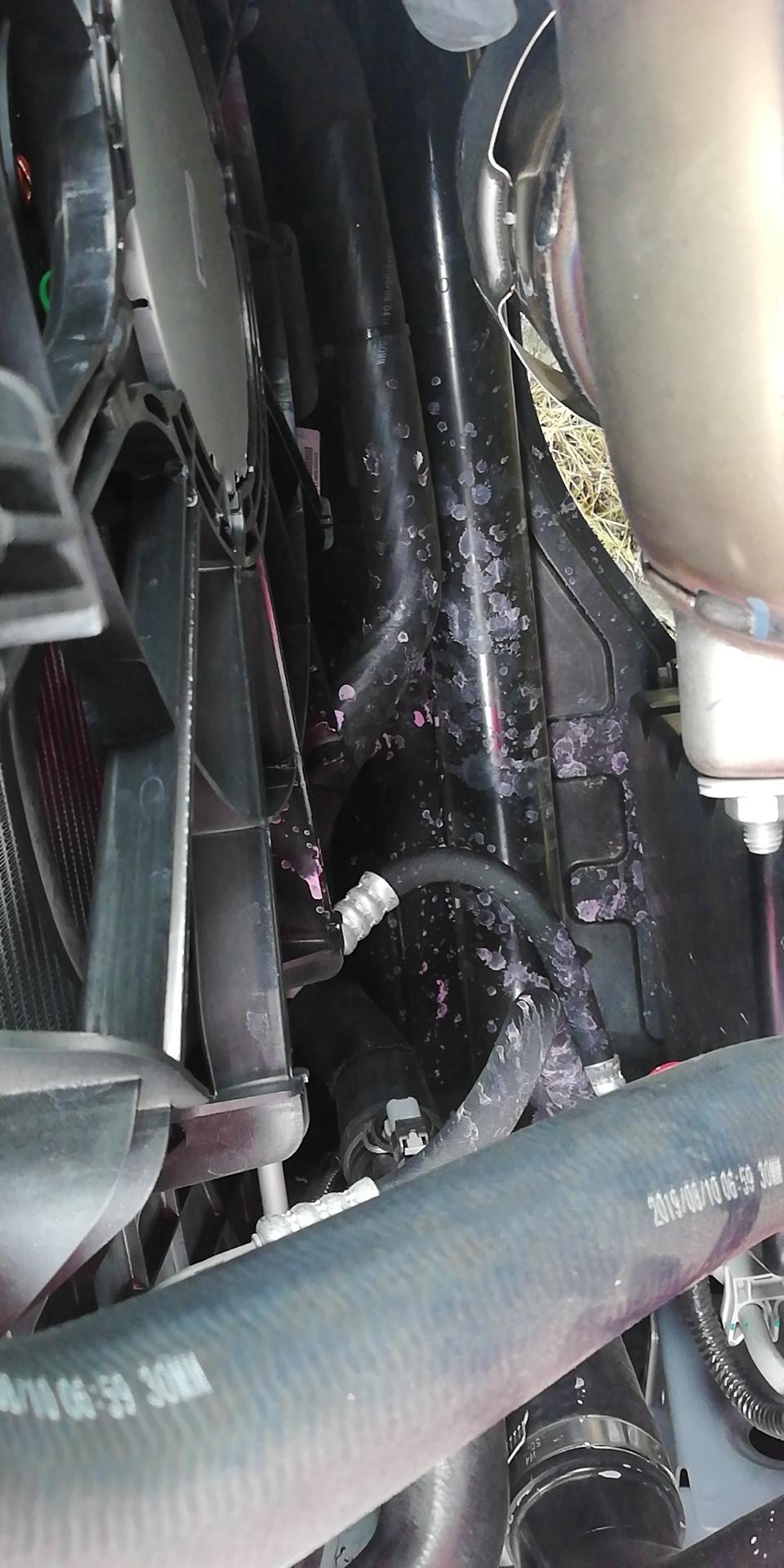 荣威rx5 max各位RX5 MAⅩ车友，提车一个月，发现防冻液渗漏，你们有没有发现这种情况？
