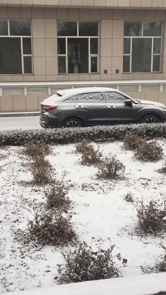冠道 下雪了，车上全是白茫茫的！