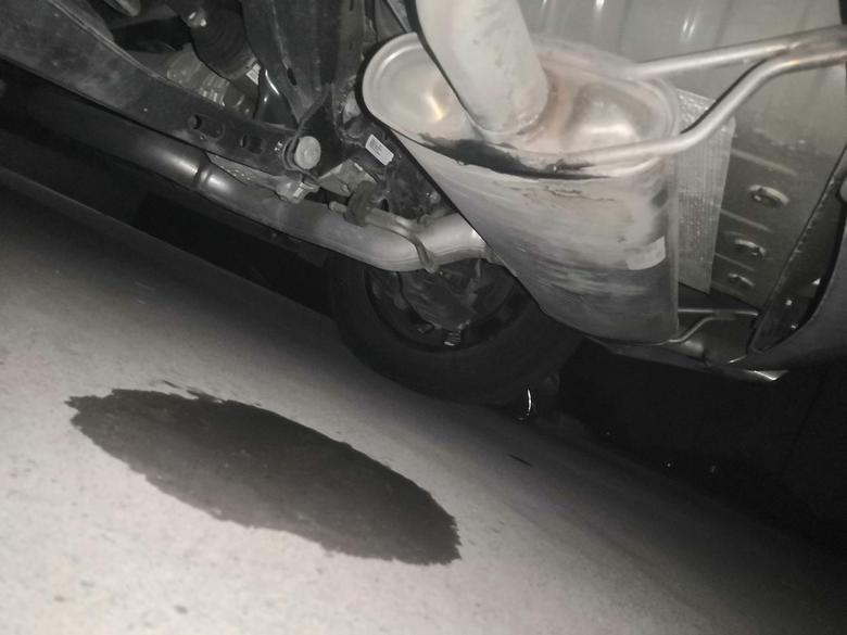 我的探界者停车有漏水的现象，你们有吗，我是2.0的拓界！排气管下面滴水！