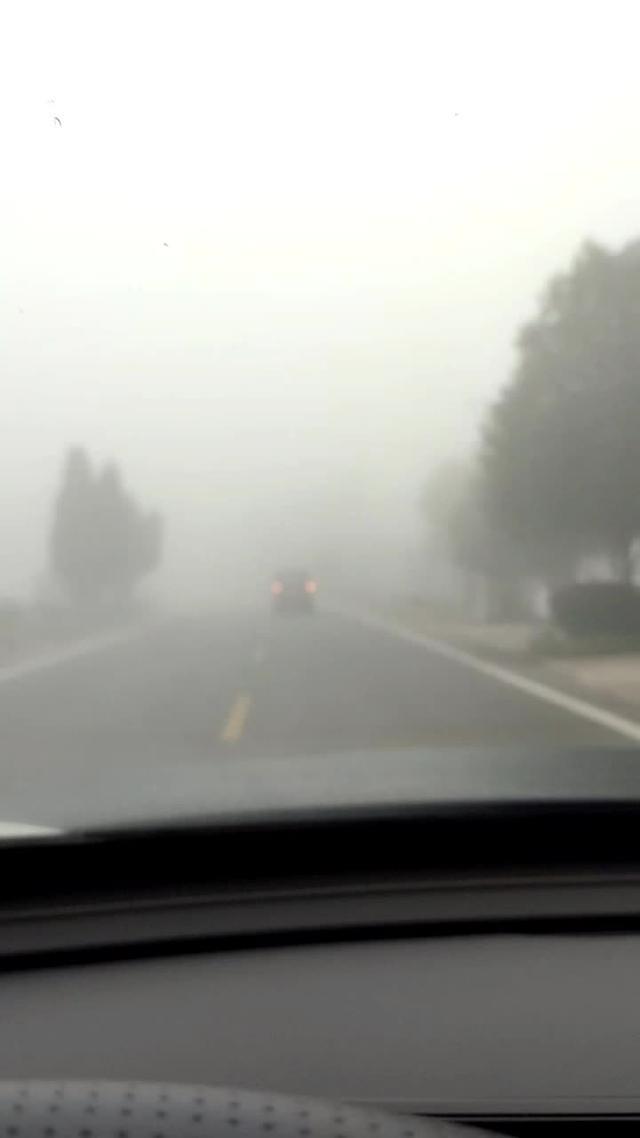 瑞虎8 plus 大雾天气，虎8P的雷达真好用！前面看不到的车辆行人都能识别出来！这才是辅助驾驶的意义吧