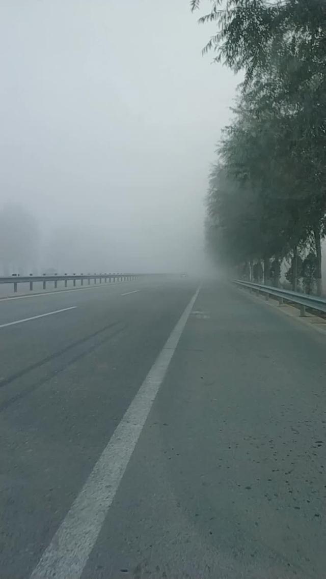 桑塔纳 大雾！