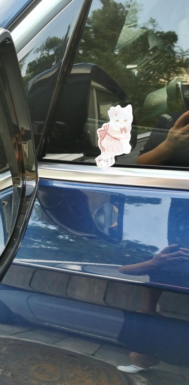 宝马x3 请教各位大神我的车经常晚上被人贴上小猫图案的纸什么意思？