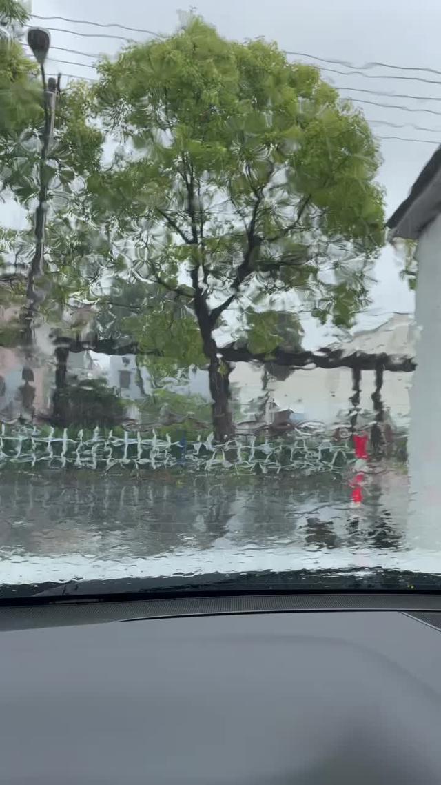 科鲁泽 台风天的上海，车门一开风雨就往里面灌。。。纠结该用哪只手开门哪只手撑伞哪只脚先落地。。。。