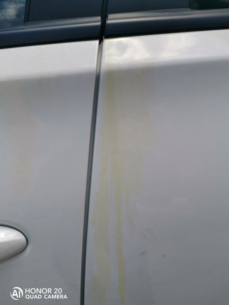 瑞虎8我想问一下各位车友，车子放在树底下几天车子有蚂蚁我喷了黑旋风之后车漆入色了，是黄色的！车子是白色车漆！广大的车友有什么办法去除吗？