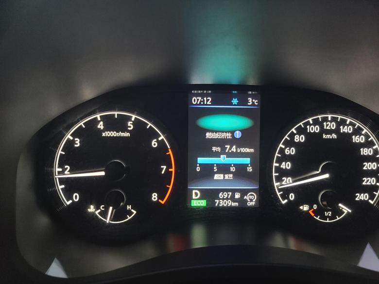 天籁 各位车友，开启eco时，燃油经济性上面那个蓝绿色光圈是干啥的