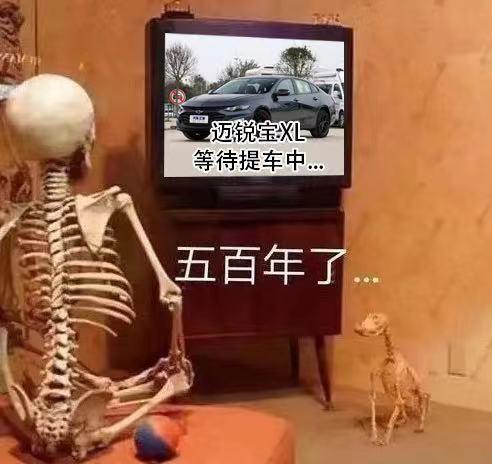 不要去上海买车了吧，迈锐宝xl一堆人在等.4儿子有车故意压.明目张胆的加价
