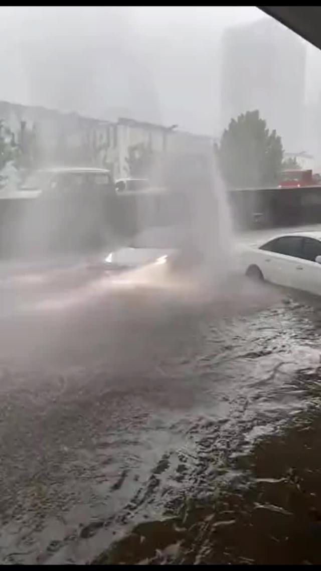 model 3 电动车的涉水性能出乎意料啊